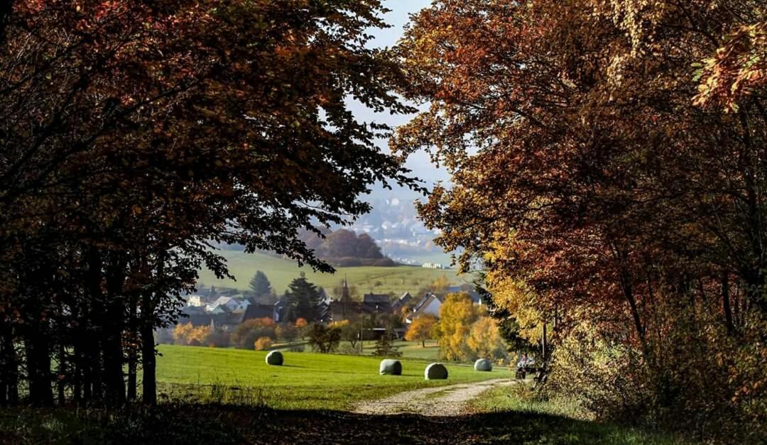 Ferienwohnung Alpaka Blick Schneppenbach Extérieur photo
